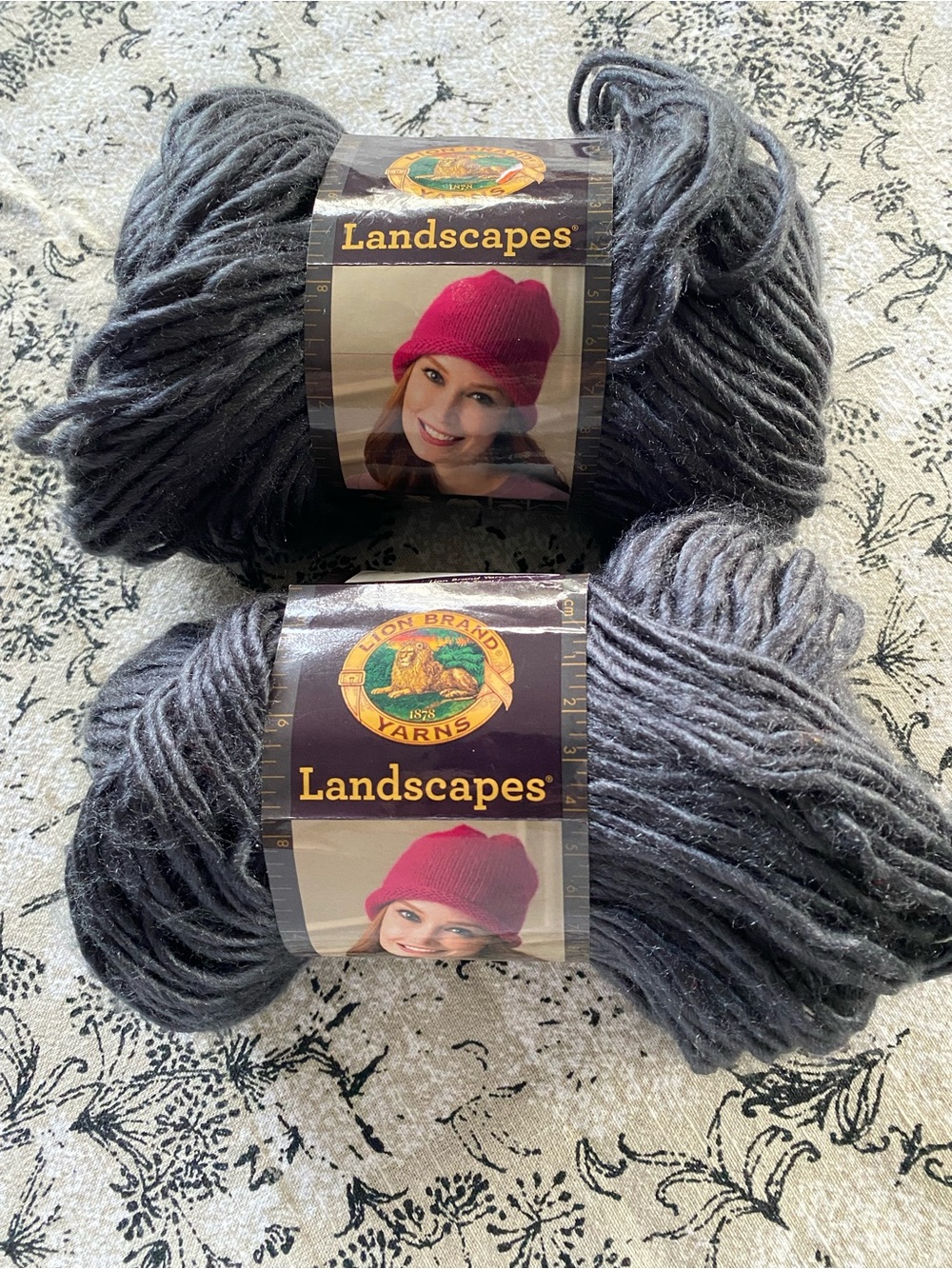 2 Lion Brand Landscapes Charcoal Yarn